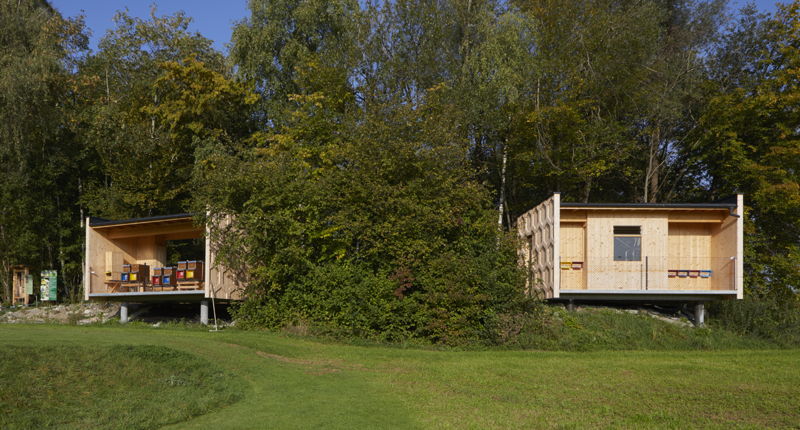 © bienensg.ch Didaktisches Zentrum